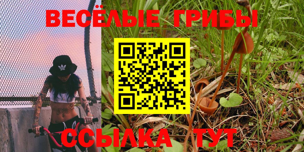 Псилоцибиновые грибы MAGIC MUSHROOMS Россия